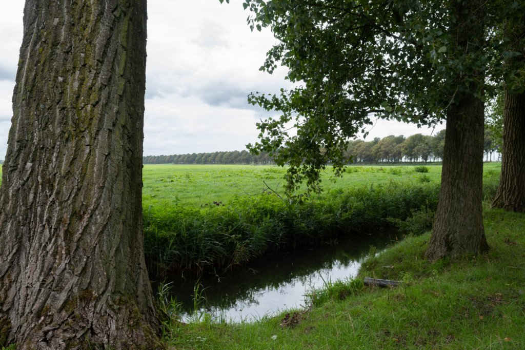 liniepadabcoude_019.jpg