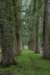 liniepadabcoude_020_small.jpg
