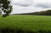 liniepadabcoude_021_small.jpg