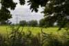 liniepadabcoude_025_small.jpg