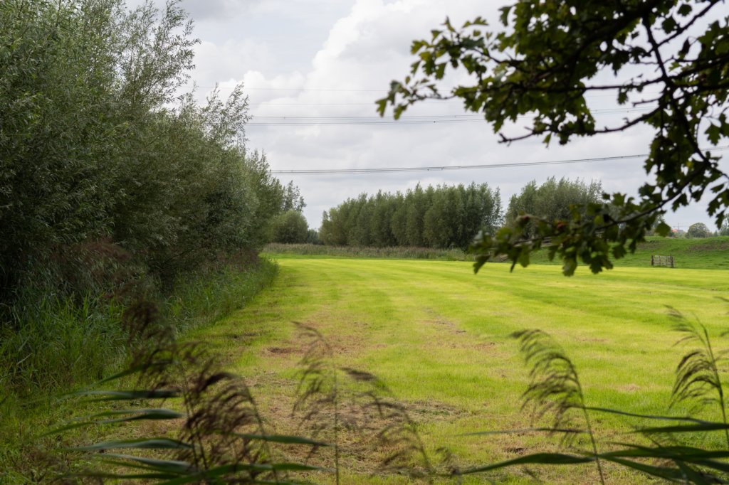 liniepadabcoude_026.jpg