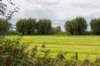 liniepadabcoude_027_small.jpg