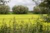 liniepadabcoude_028_small.jpg