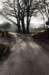 lunteren_003_small.jpg