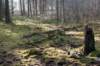 lunteren_010_small.jpg
