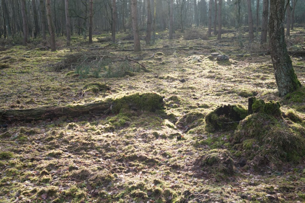 lunteren_011.jpg