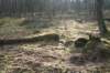 lunteren_011_small.jpg