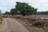lunteren_014_small.jpg