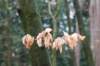 lunteren_017_small.jpg