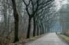 maarn_amersfoort_001_small.jpg