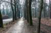 maarn_amersfoort_002_small.jpg