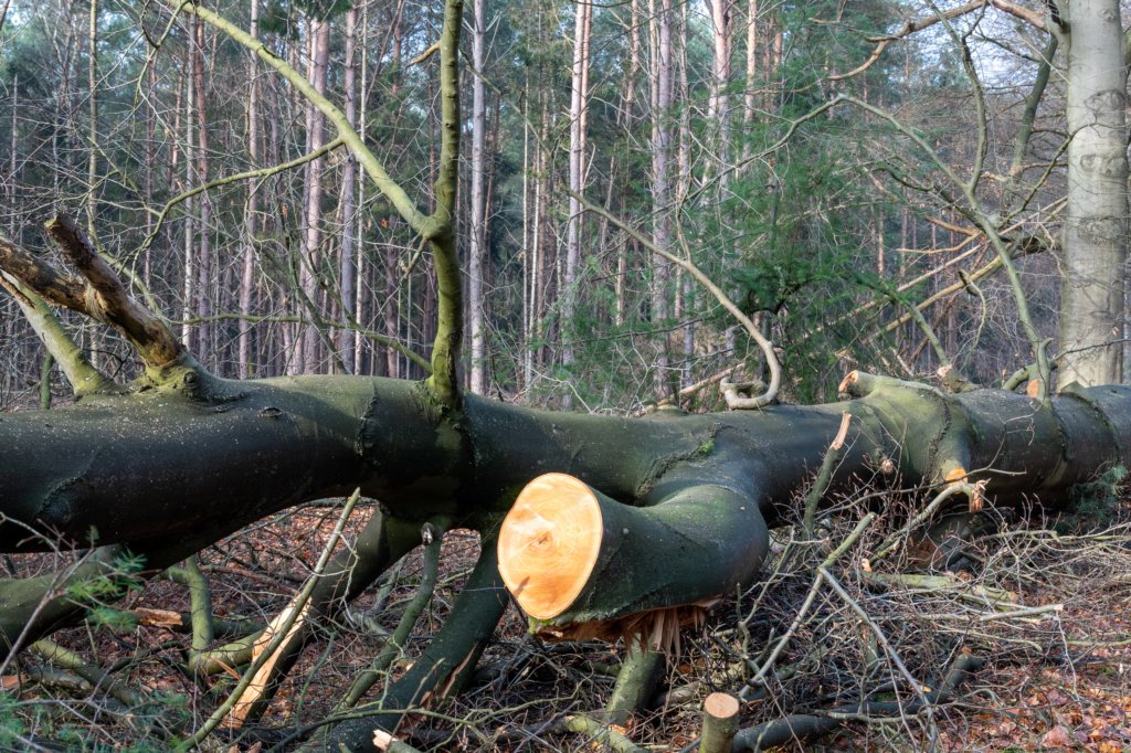 maarn_amersfoort_005.jpg