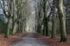 maarn_amersfoort_006_small.jpg