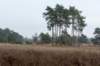 maarn_amersfoort_007_small.jpg