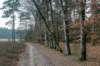 maarn_amersfoort_008_small.jpg