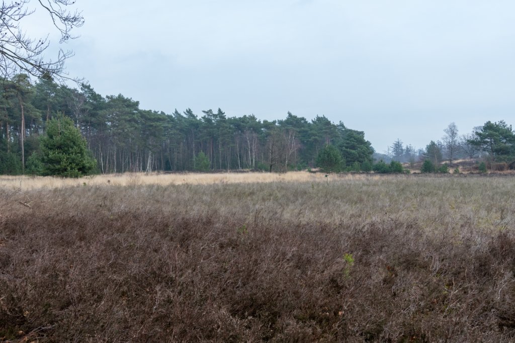 maarn_amersfoort_009.jpg