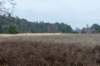 maarn_amersfoort_009_small.jpg