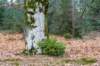 maarn_amersfoort_010_small.jpg
