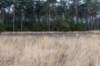 maarn_amersfoort_011_small.jpg