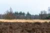 maarn_amersfoort_012_small.jpg