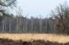 maarn_amersfoort_013_small.jpg