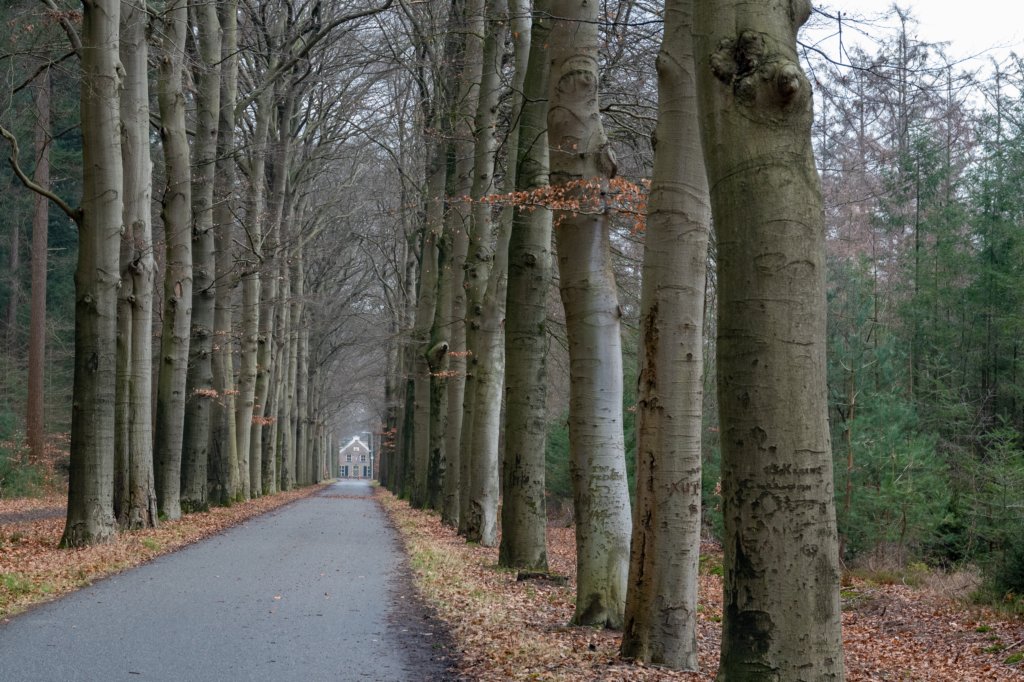 maarn_amersfoort_014.jpg