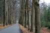 maarn_amersfoort_014_small.jpg
