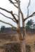 maarn_amersfoort_016_small.jpg