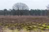 maarn_amersfoort_017_small.jpg