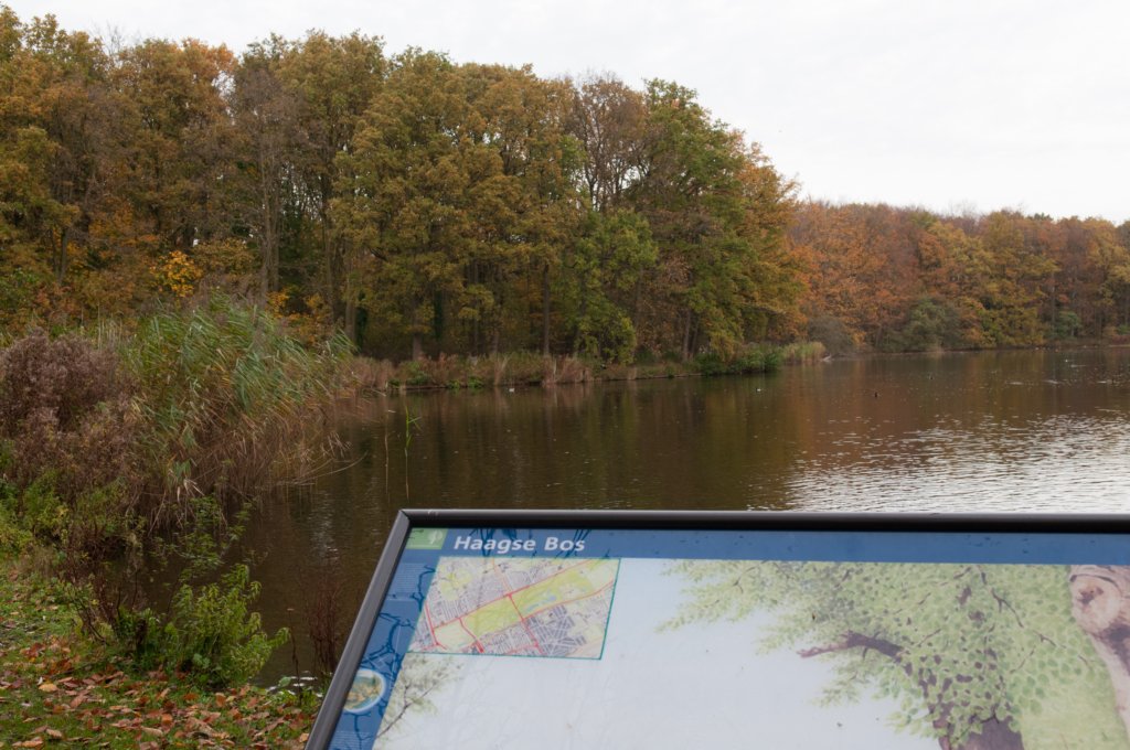 meijendel_001.jpg
