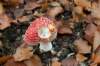 meijendel_009_small.jpg