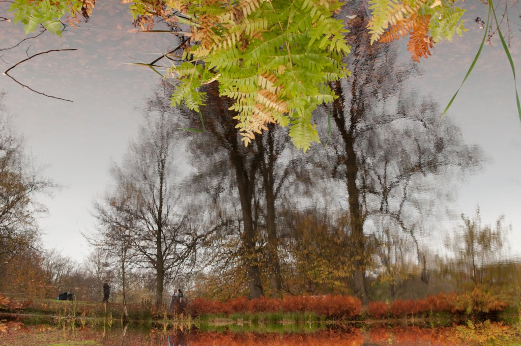 meijendel_018.jpg