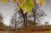 meijendel_018_small.jpg