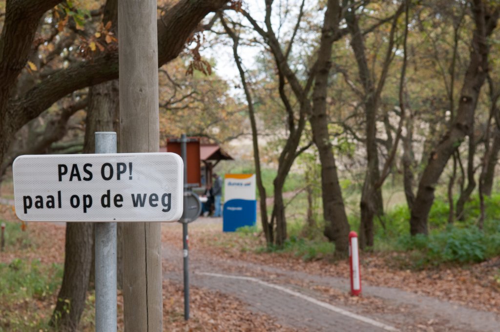 meijendel_041.jpg