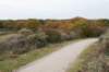 meijendel_042_small.jpg