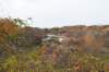 meijendel_048_small.jpg