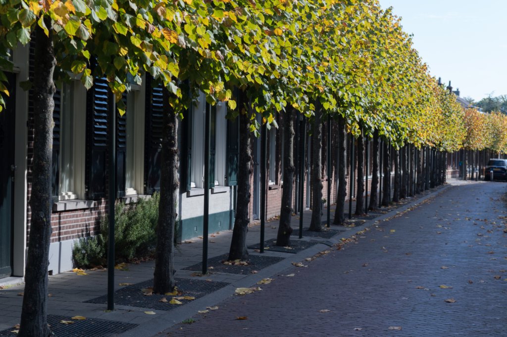 moerputten_002.jpg