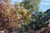 moerputten_004_small.jpg