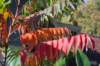 moerputten_006_small.jpg