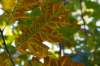 moerputten_008_small.jpg