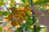 moerputten_009_small.jpg