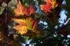 moerputten_010_small.jpg