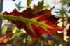 moerputten_011_small.jpg