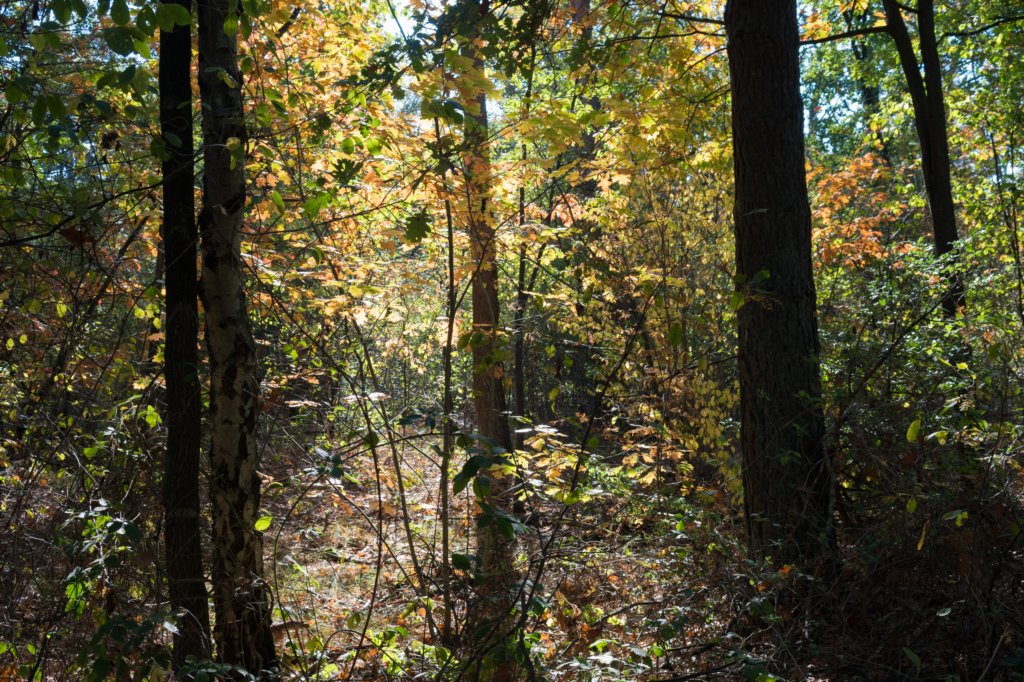 moerputten_012.jpg