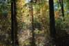 moerputten_012_small.jpg