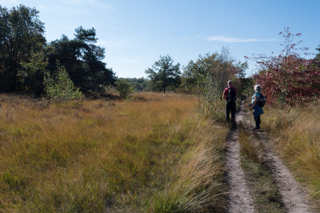 moerputten_013.jpg