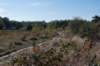 moerputten_014_small.jpg