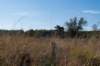moerputten_015_small.jpg