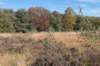moerputten_016_small.jpg