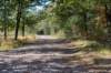 moerputten_017_small.jpg